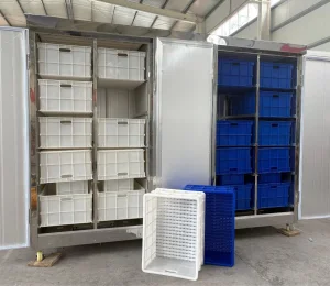 High Yield Sprout Grower