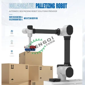 Low Price Programmable Industrial 6 Axis Collaborative Robot Carton Box Bag Payload 30 Kg