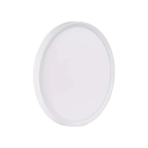 Top Fashion Motion Sensor LED Ceiling Light