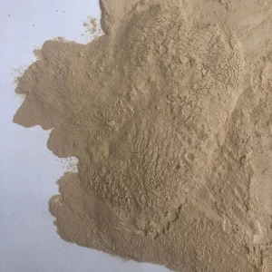 التحلل الإنزيمي 80% سماد عضوي مشتق من النباتات لحمض أميني مركب زراعي مسحوق