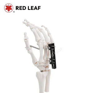 Mini Finger Palm Track