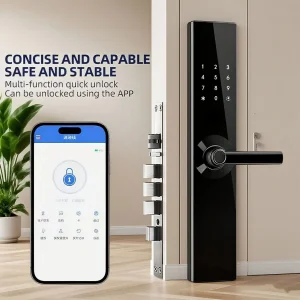Mortise 6068 Electronic WiFi