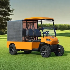 Cargo Van Golf Cart