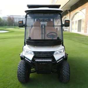 Multi-Purpose Electric Golf Cart