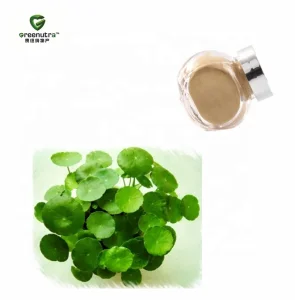 Gotu Kola Extract Powder Skin Care