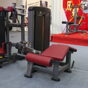 Gym Fitness Equipment