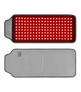 Wearable LED Belt
