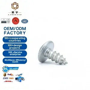 Custom Precision Durable Robust Carbon Steel Screw Fastener for Home Appliance
