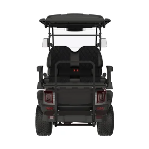 Custom Color LSV Buggy