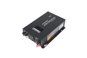 3000W 12VDC to 110VAC Bi-Directional