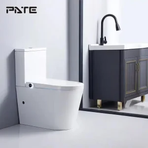 Bathroom Split Toilet Floor Standing S Type 110V-220V Customized Plug Automatic Flip-Top Smart Toilet Split Wc