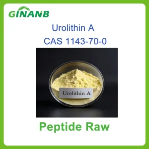 High Purity Urolithin a Nutraceutical and Sports Nutrition Ingredient