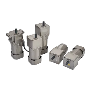 6W~2.2kw 60mm~142mm Precision Micro AC Motor with 110V/220V/380V Voltage and Gearbox Integration