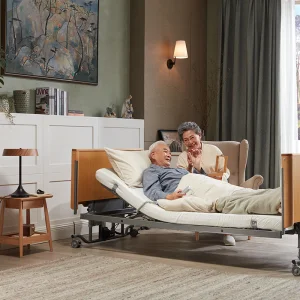 Premium Electric Care Bed