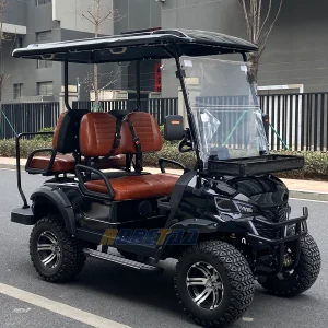 Gasoline Golf Cart
