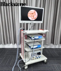 Laparoscopic Imaging System