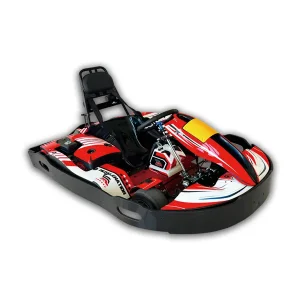 Electric Go-Kart