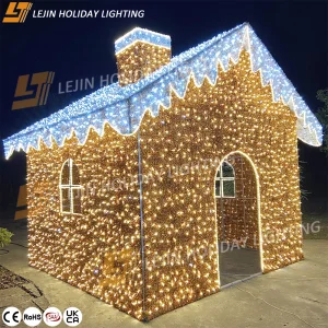 3D House Motif Lights