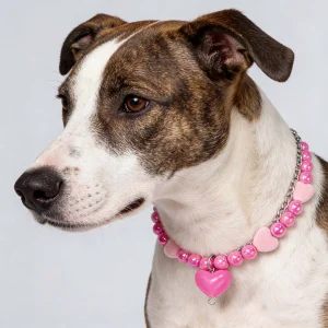 OEM Valentine's Day Beaded Pet Necklace