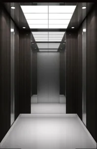 Home Lift Passenger Elevator with Customized Cabin