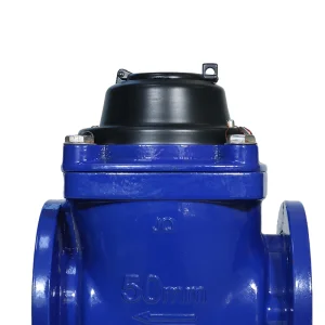 LoRaWAN Smart Flow Meter