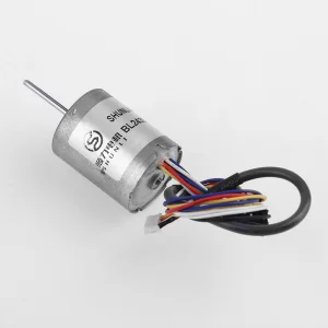 BL Dc Electric Shaver Brushless Planetary Gear Motor Bl2430 Micro Motor CAR Permanent Magnet FAN Boat