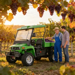 2 Seater Battery Powered 4 Wheel Utility UTV Vehicle
