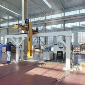 3 Axis Gantry Palletizer