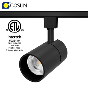 Argentina Single Phase LED Track Light