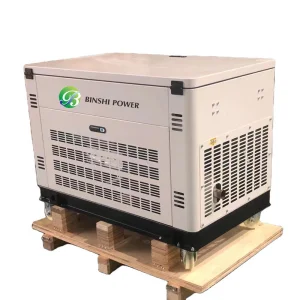Portable Dual Fuel Generator