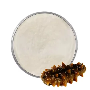 Selected sea cucumber content sea cucumber peptide powder marine life extract stock available wholesales price