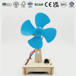 DIY Fan Toy