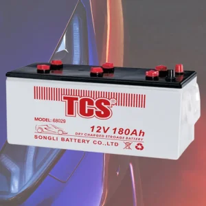 TCS 68029