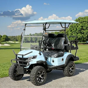 Electric Golf Cart 4 Seater