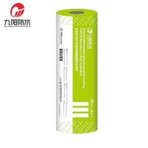 Advanced Polymer Coating for Ultimate Pool Water Protection