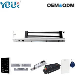 Wireless Mini Magnetic Lock