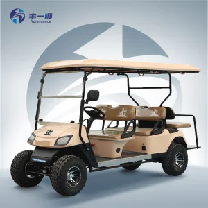 Luxury 6 Seater off Road Electric Golf Cart Sightseeing Club Car 72V Lithium Battery CE Certified 30km/h 70-90km Range