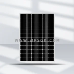 Transparent Monocrystalline Panel