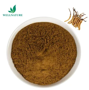 Traditional Adaptogen Sinensis Cordyceps Extract
