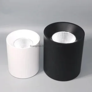 Aluminium LED COB Down Light