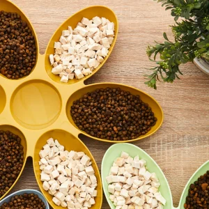 Flower Design Eco-Friendly Portable Multi-Bowl Dog Food Feeder 6-Section Plastic Tray for Multiple Pets OEM Supported