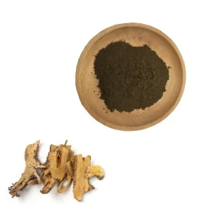 Giant Knotweed Extract Resveratrol Powder