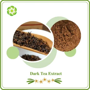 Dark Tea Extract