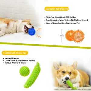 Professional Dog Dental Hygiene Chew Toy Set Bulk Pet Toys Supply
