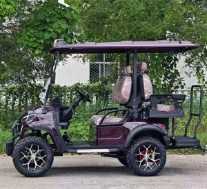 Carrinho de Golfe LSV ANSI