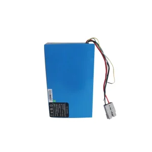 High-Quality Customized 48V 24Ah LiFePO4 battery Rechargeable for AGV Battery Manufacturer, Supplier