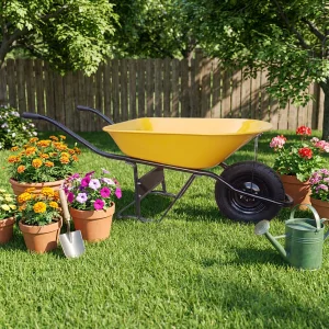 Push Cart Wheelbarrow
