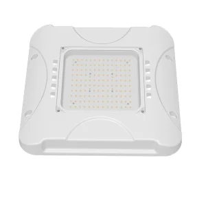 High Quality LED Gas Station Light