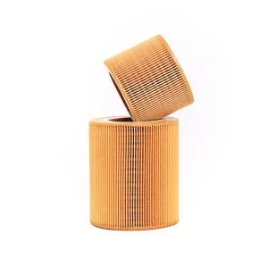 China 1613900100 Air Filter Replacement