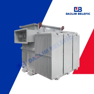 Oil Immersed Power Transformer